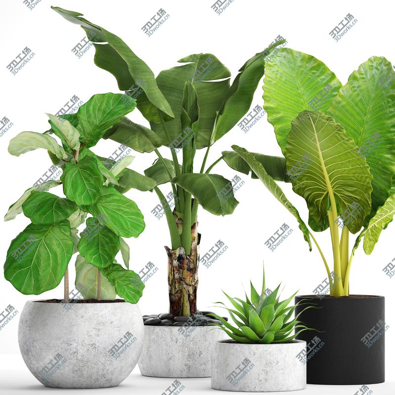 images/goods_img/202105074/3D Collection plants/1.jpg